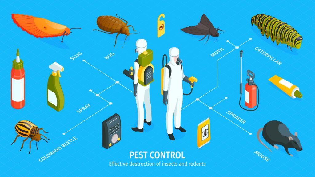  pest control 