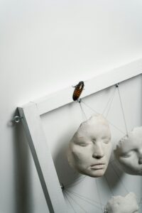 where do cockroaches hide